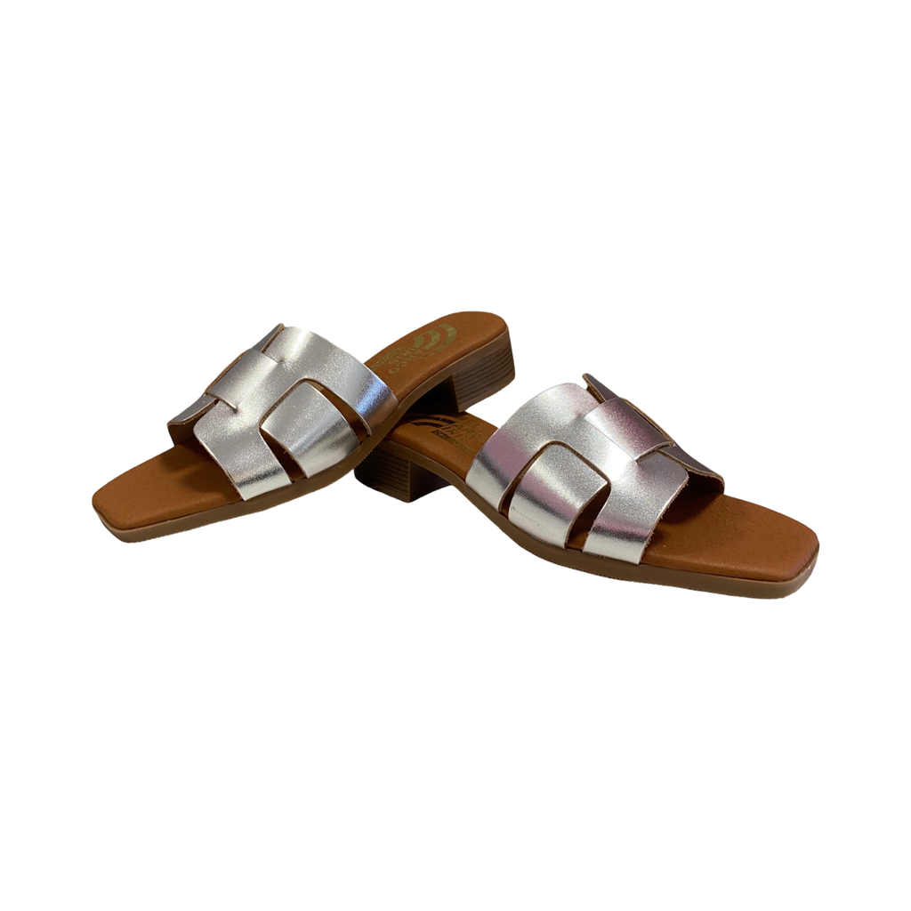 SANDALIA MUJER CAI 5600 PLATA