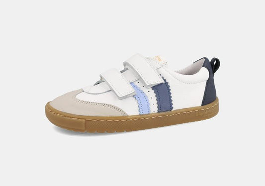 DEPORTIVO RESPETUOSO NIÑO DELFIN BLUE26V