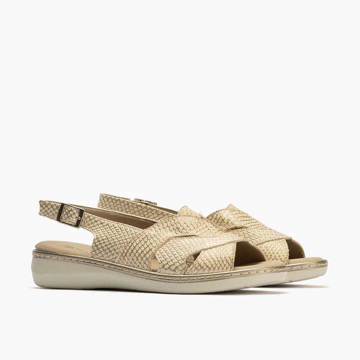 SANDALIA MUJER PITILLOS 10301 ORO