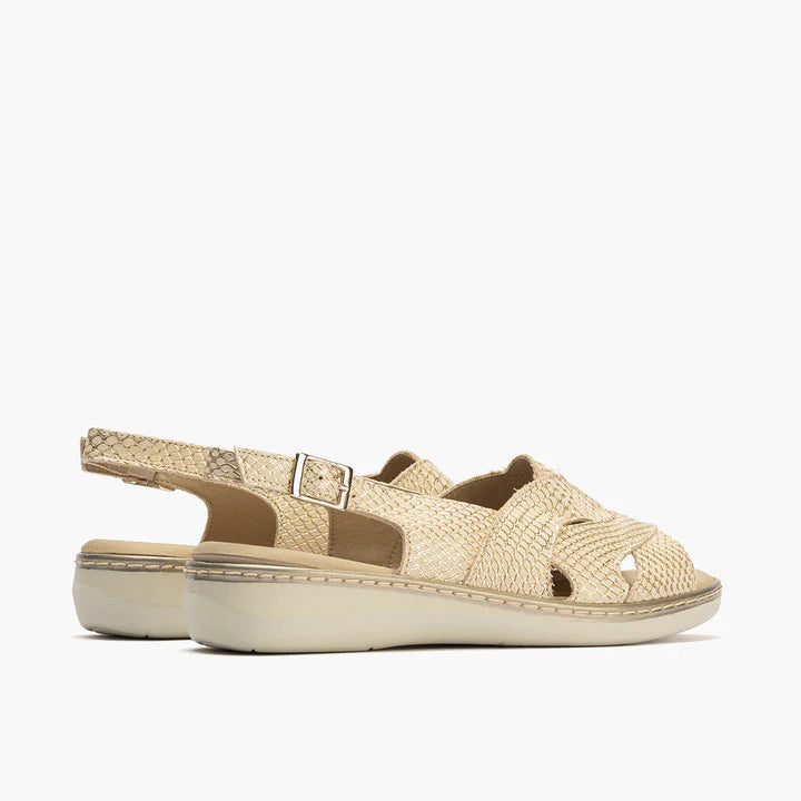 SANDALIA MUJER PITILLOS 10301 ORO